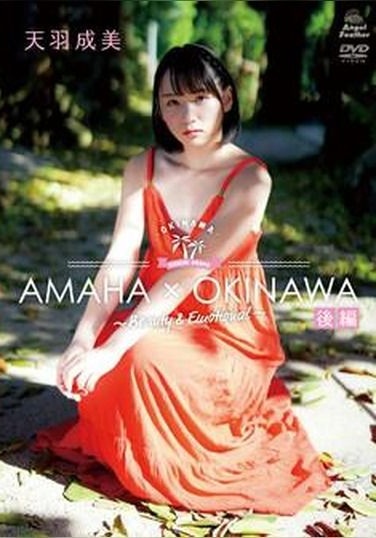 AMH-AA002