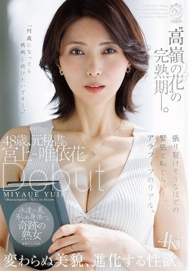 DLDSS-528